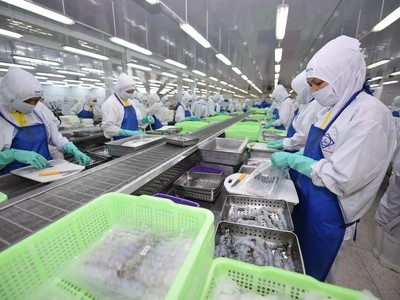 Dây chuyền Kl994 nhà cái bóng đá world cup tôm tại Sao Ta (Fimex)- Kl991.com World Cup 2026 Chính Thức PAN Group và công ty có liên quan đang nắm trên 50% vốn (Ảnh: PAN).