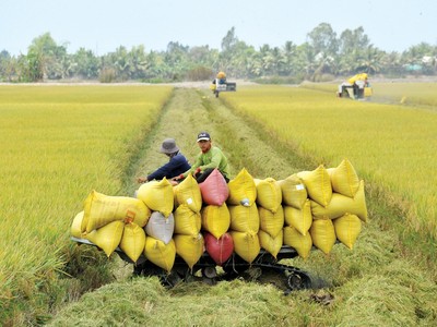 Agribank tiếp tục là chủ lực trên thị trường nông nghiệp - nông thôn