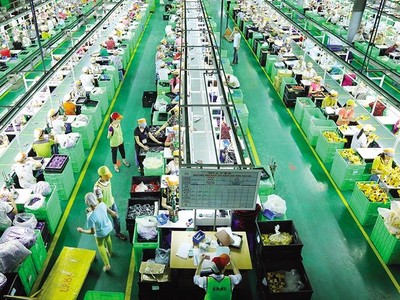 Hoạt động Kl994 nhà cái bóng đá world cup - Kl992 VIP Trang Chủ 2026 đã bắt đầu phục hồi.