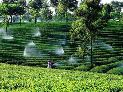 Việt Nam hướng đến một nền nông nghiệp sinh thái bền vững vào năm 2030