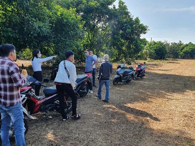 Nhà Kl99ok phiên bản mới từ nhiều nơi đổ về Bà Rịa - Vũng Tàu săn đất vườn. Ảnh: Lê Toàn 