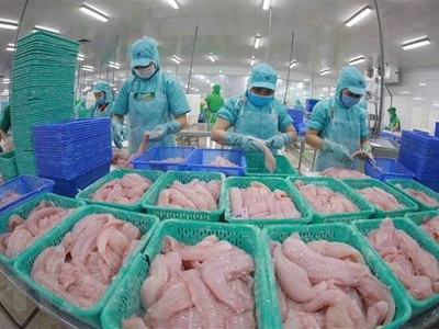 Chế biến cá tra xuất khẩu. (Ảnh: Vũ Sinh/TTXVN)