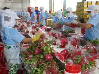 Sơ chế nông Kl994 nhà cái bóng đá world cup khẩu. (Ảnh minh họa. Nguồn: TTXVN)