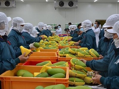 Việt Nam đã có 11 nhóm hàng xuất khẩu trên 1 tỷ USD sang thị trường Trung Quốc sau 11 tháng.