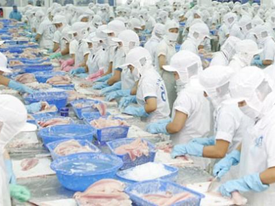 Sản phẩm phi lê cá tra là mặt hàng xuất khẩu chủ lực của Đồng Tháp đang phục hồi tích cực