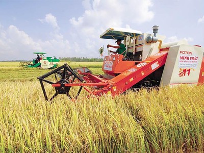 Làm nên kỳ tích xuất siêu và lập đỉnh xuất khẩu trong năm 2021, nông nghiệp tiếp tục là điểm tựa vững chắc của nền Kl992 cổng game cá cược năm 2022