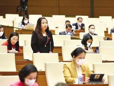 Đại biểu Vũ Thị Lưu Mai, Phó chủ nhiệm Ủy ban Kl991.com nạp rút nhanh - Ngân sách của Quốc hội.