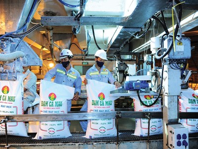 DCM ước đạt Kl99 nổ hũ sau thuế 1.823 tỷ đồng, mức cao nhất trong 10 năm hoạt động 