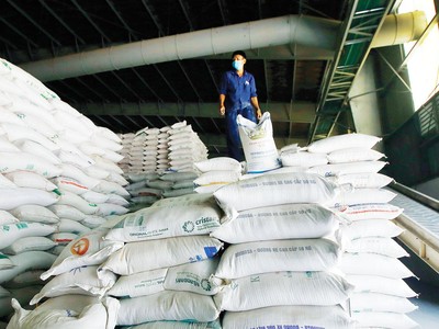 Xuất khẩu gạo của Việt Nam đã có 1 năm thành công và nhiều khả năng duy trì thứ hạng tốt trong năm 2022. Ảnh: Đức Thanh