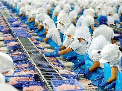 Thủy sản Ngô Quyền "hồi sinh" sau 2 năm thua lỗ