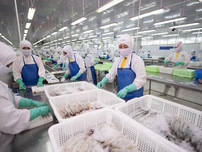 Sao Ta báo lãi ròng tăng gần 27%, có hơn 700 tỷ đồng tiền gửi Link Vào Nhà Cái KL99 COM Tặng +199k