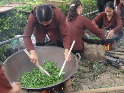 Thi sao chè tại Lễ hội trà Tân Cương (Thái Nguyên) ba năm trước.