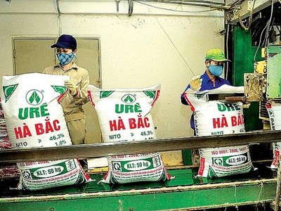 Thế khó của Đạm Hà Bắc khi bán KL99 là cổng game giải trí trực tuyến hàng đầu hiện nay HPH