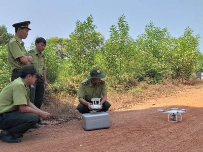 Nâng cao năng lực cho lực lượng kiểm lâm trong công tác quản lý, bảo vệ rừng và phòng cháy, chữa cháy rừng. (Ảnh minh họa. Nguồn: Internet).