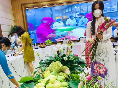 Thương hiệu Xoài Cát chu Cao Lãnh của Đồng Tháp đang được khách hàng trong và ngoài nước ưa chuộng