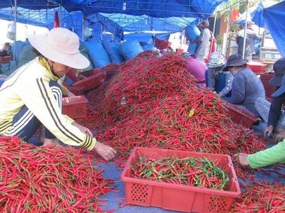 Trung Quốc đã đồng ý cho 5 Kl991.com World Cup 2026 Chính Thức Việt Nam xuất khẩu ớt tươi vào thị trường này theo hình thức chính ngạch.