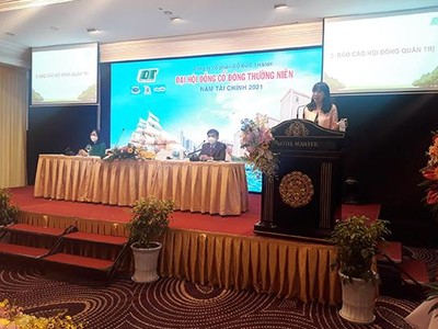 Bà Lê Hải Liễu, Chủ tịch HĐQT Công ty CP Gỗ Đức Thành thông tin tại Đại hội