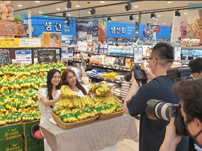 Chuối Lopang trồng tại Gia Lai, Việt Nam được giới thiệu, phân phối tại Lotte Mart, Hàn Quốc.