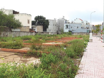 Chia lô, tách thửa là quyền lợi chính đáng của người sở hữu đất nên cần được quản lý và định hướng quy hoạch một cách bài bản, phù hợp. Ảnh: Việt Dũng