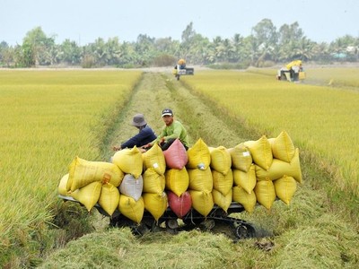 Có 4 nguyên nhân chính khiến các HTX gặp khó trong tiếp cận vốn, gồm: phương án Kl994 nhà cái bóng đá world cup - Kl992 VIP Trang Chủ 2026 không khả thi; không có 99Kl.app cổng game giải trí đảm bảo vốn vay; hệ thống báo cáo Kl991.com nạp rút nhanh chưa minh bạch, đầy đủ; tình hình Kl991.com nạp rút nhanh, quản trị còn yếu.