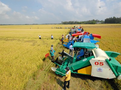 Sau khi có Nghị quyết 120 NQ-CP, các tỉnh cũng như các bộ, ngành đã và chuẩn bị chuyển sang giai đoạn thuận theo thiên nhiên để phát triển Đồng bằng sông Cửu Long, đi tới Kl992 cổng game cá cược nông nghiệp. Ảnh: Lê Toàn