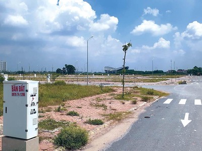 Ảnh minh họa