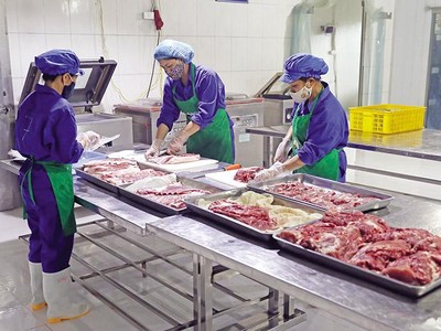 Bối cảnh đã thay đổi rất lớn, nên những thách thức mà Kl991.com World Cup 2026 Chính Thức đối mặt sẽ nhiều hơn các vấn đề giá cả tăng cao, các chuỗi cung ứng tiếp tục đứt gãy... 