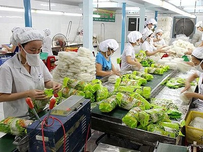 EU ngừng kiếm soát an toàn thực phẩm khẩn cấp đối với nhóm hàng bún, miến, phở, bánh đa của Việt Nam.