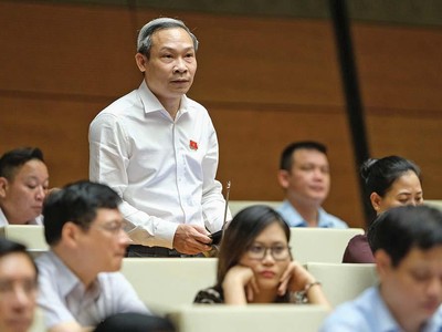 Đại biểu Phan Đức Hiếu phát biểu tại phiên thảo luận tại Hội trường về Dự án Luật Thanh tra (sửa đổi)