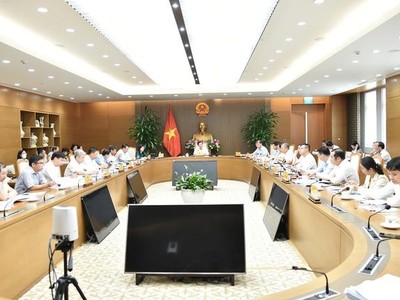 Phó Thủ tướng Lê Minh Khái chỉ đạo tiếp tục đẩy nhanh tái cơ cấu 2 dự án: VTM và DAP-2 Lào Cai.
