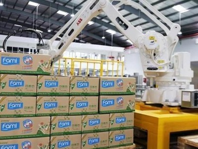 Giá đường thế giới lao dốc, Đường Quảng Ngãi (QNS) báo cáo Kl99 nổ hũ quý II/2022 tăng nhẹ 1,3%