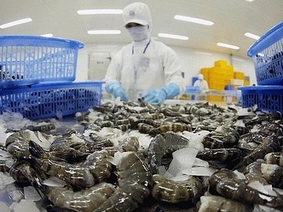 Không chỉ mặt hàng tôm mà các mặt hàng cần phải kiểm dịch, khi Link Vào Nhà Cái KL99 COM Tặng +199k vào Australia đều phải đối diện với tình trạng bị chậm trễ trong kiểm dịch, thông quan.
