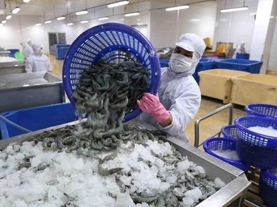Xuất khẩu thủy sản trong tháng 8 tiếp tục đạt dưới 1 tỷ USD.