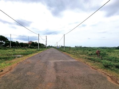 Nhiều lô đất tại Quảng Trị đấu giá cao ngất ngưởng, xong bỏ cọc