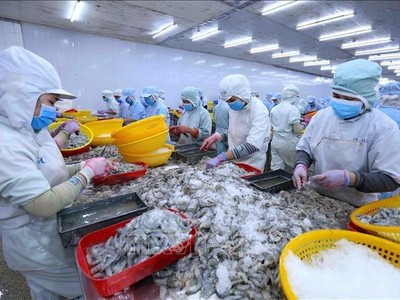 Thị trường Mỹ, Anh giảm mua tôm Việt do Kl999.com Đường Link Mới Nhất