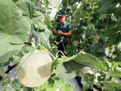 Luật Đất đai (sửa đổi) cần gỡ những điểm nghẽn để tạo điều kiện cho Kl991.com World Cup 2026 Chính Thức nông nghiệp công nghệ cao Kl99ok phiên bản mới
