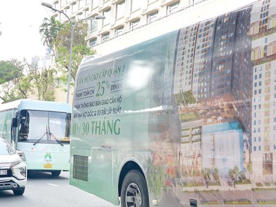Ảnh: Lê Toàn