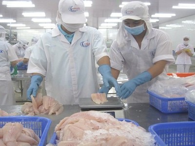 Từ 8/1/2023, hàng hóa Việt Nam xuất sang Trung Quốc không cần xét nghiệm.