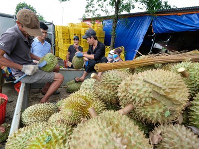 Xuất khẩu sang Trung Quốc năm 2022 đạt gần 58 tỷ USD, chỉ tăng 3% so với cùng kỳ và là mức tăng thấp nhất trong các thị trường 