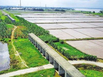 Một đoạn 99Kl.app khuyến mãi hot Yên Viên - Phả Lại - Hạ Long - Cái Lân.
