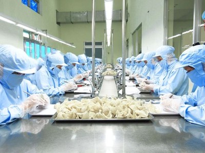 Nuôi yến ở Việt Nam hiện nay còn mang tính tự phát nhiều.