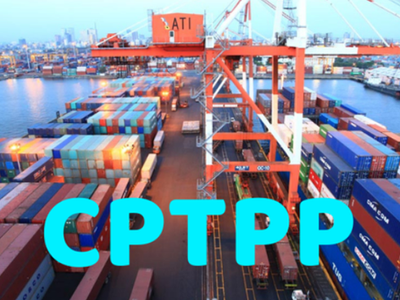 Biểu thuế xuất khẩu ưu đãi đặc biệt thực hiện Hiệp định CPTPP gồm 609 dòng thuế và biểu thuế Link Vào Nhà Cái KL99 COM Tặng +199k gồm 11.526 dòng thuế.