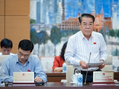 Trưởng ban Dân nguyện Dương Thanh Bình trình bày báo cáo.