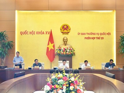 Phiên họp sáng 13/5 của Uỷ ban Thường vụ Quốc hội.