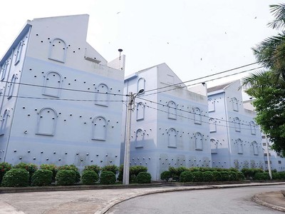 Nhà nuôi yến mà Vina Yến đã Kl99ok phiên bản mới xây dựng tại Khu công nghiệp Việt Phát.