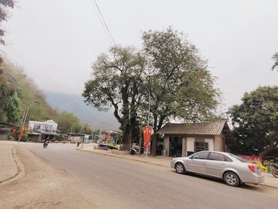 Một đoạn Quốc lộ 15 qua huyện Mai Châu - Hòa Bình.