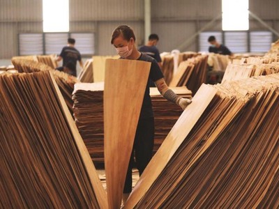 Mỹ gia hạn thời gian điều tra chống lẩn tránh thuế phòng vệ đối với gỗ dán và pin năng lượng mặt trời của Việt Nam.