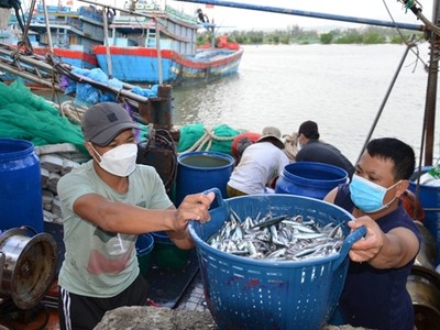 Ủy ban châu Âu sẽ kiểm tra về chống khai thác hải sản bất hợp pháp vào tháng 10/2023.
