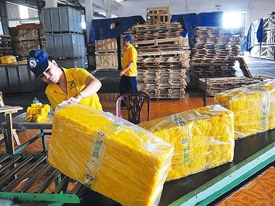 Khó khăn chồng chất, nhiều công ty cao su phải tạm ngừng Kl992 VIP Trang Chủ 2026 