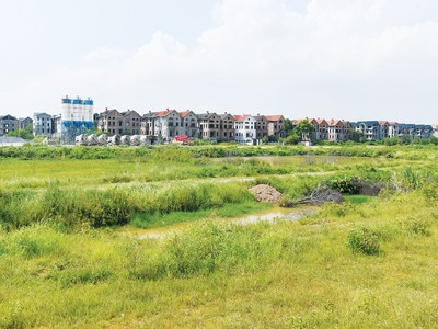 Theo xu hướng chung, thị trường đất nền cũng trầm lắng từ đầu năm 2022 tới nay. Ảnh: Dũng Minh 